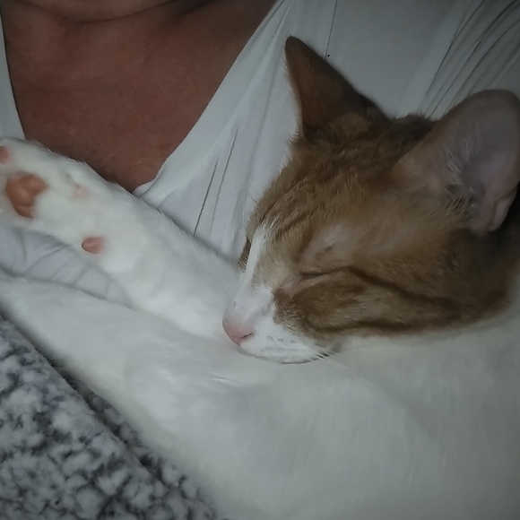 Meet your Posher, Jennifer - Picture 8 of 15